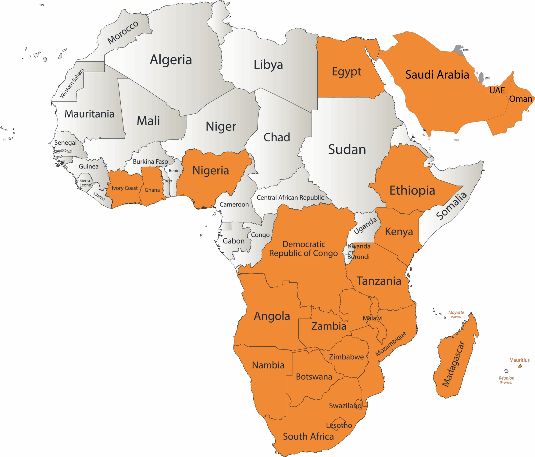 Caterwarre Africa